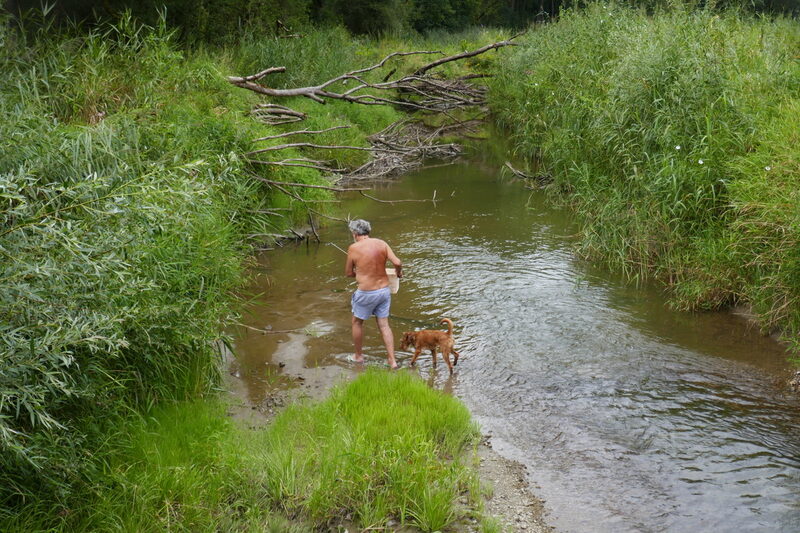 Plastikuntersuchung im Feld